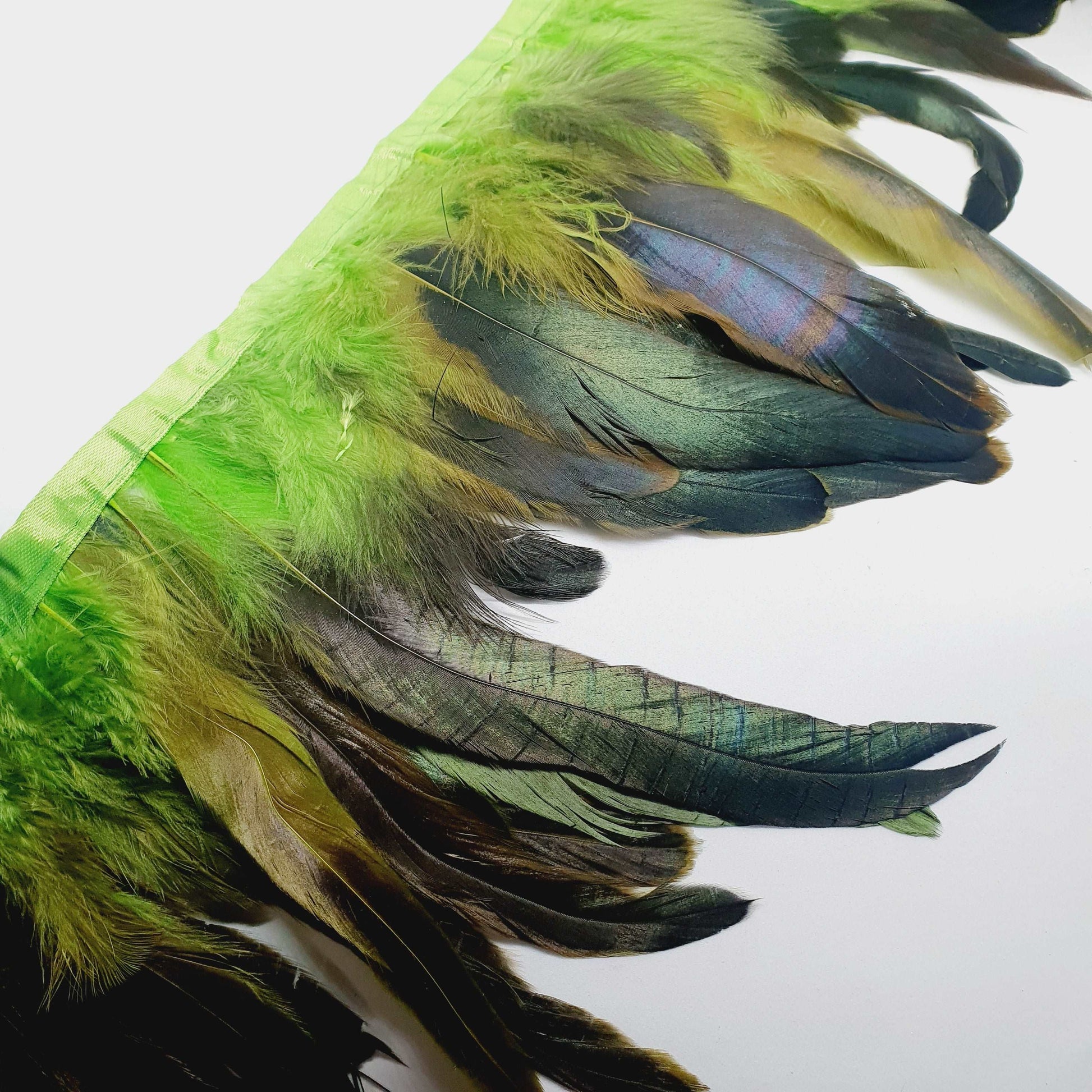 1m rooster Feather Trim 13-18cm lime green black trimming fringe boa